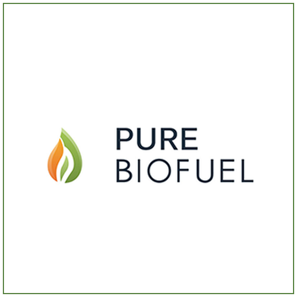 Bio Fuel.jpg