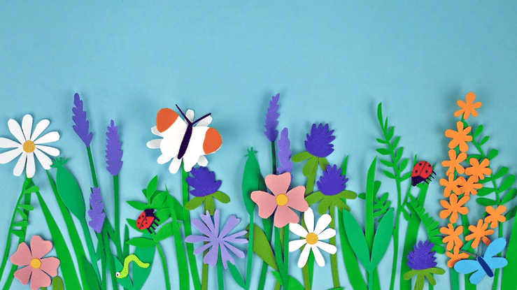 New Work for RSPB ahead of COP26