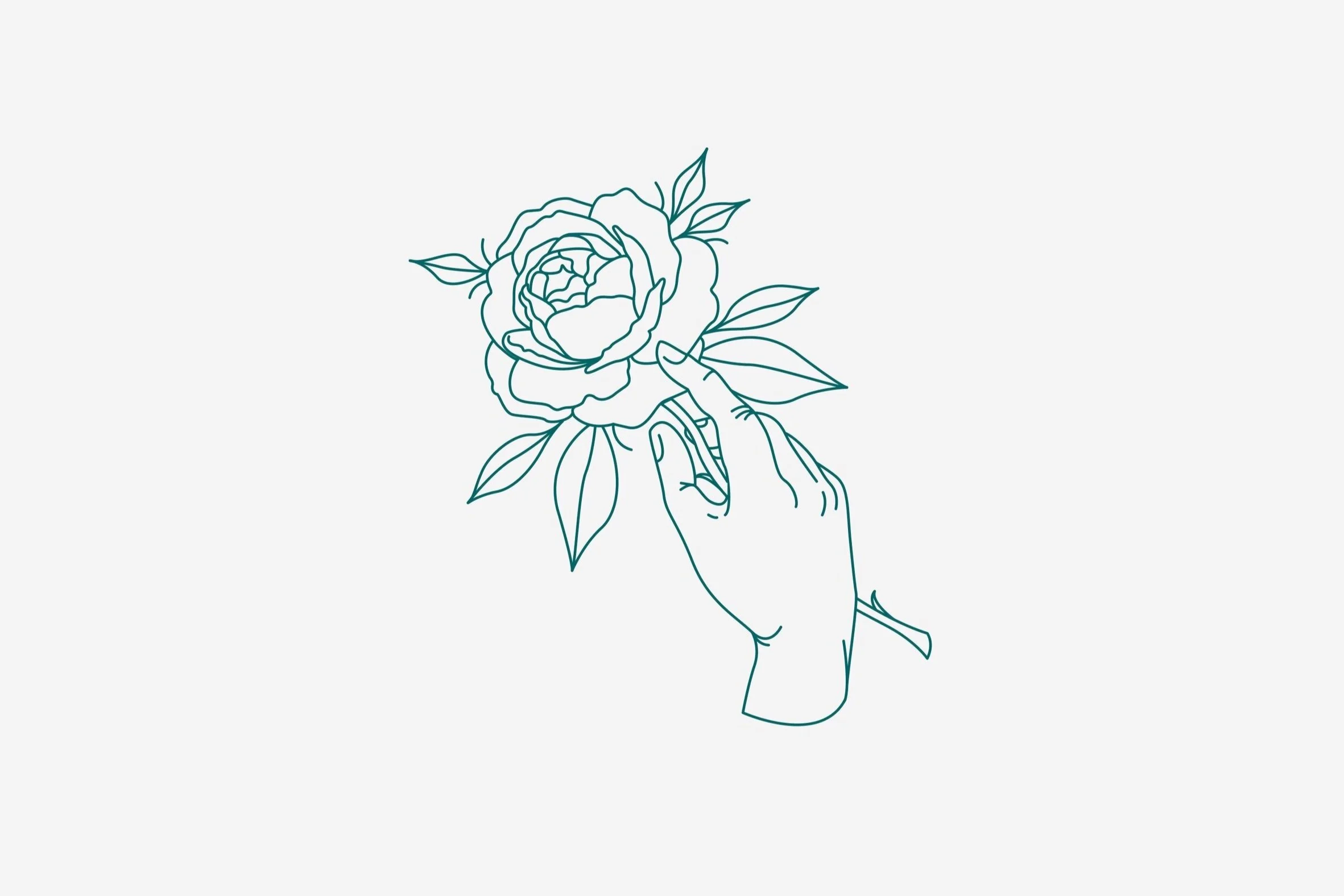 Rose illustration