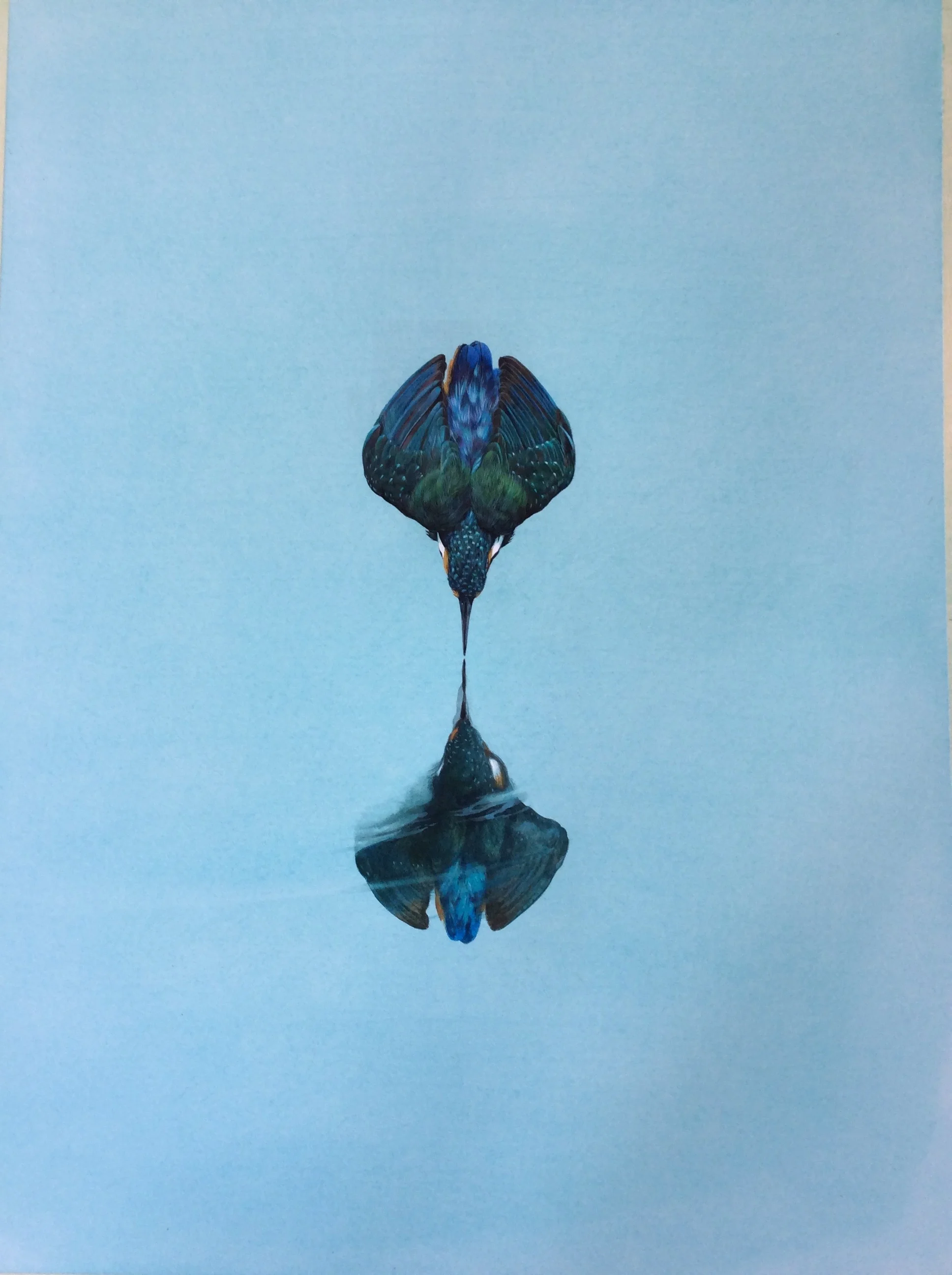 Reflection - Turquoise