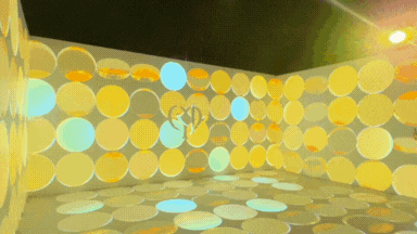 CDP1.gif