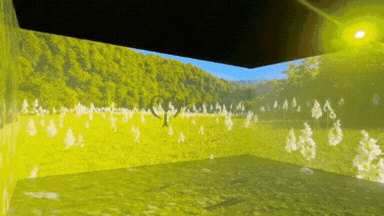 CDP2.gif