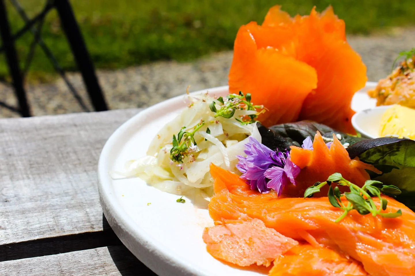 Salmon.jpg