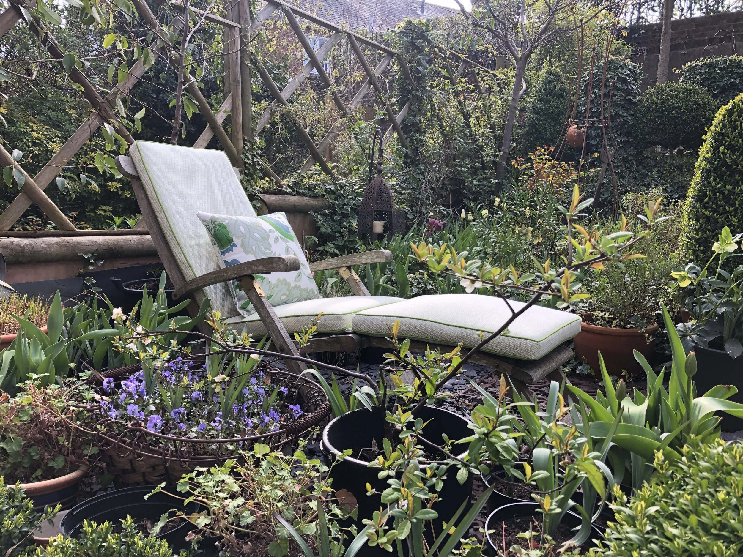 Lime premium sun lounger