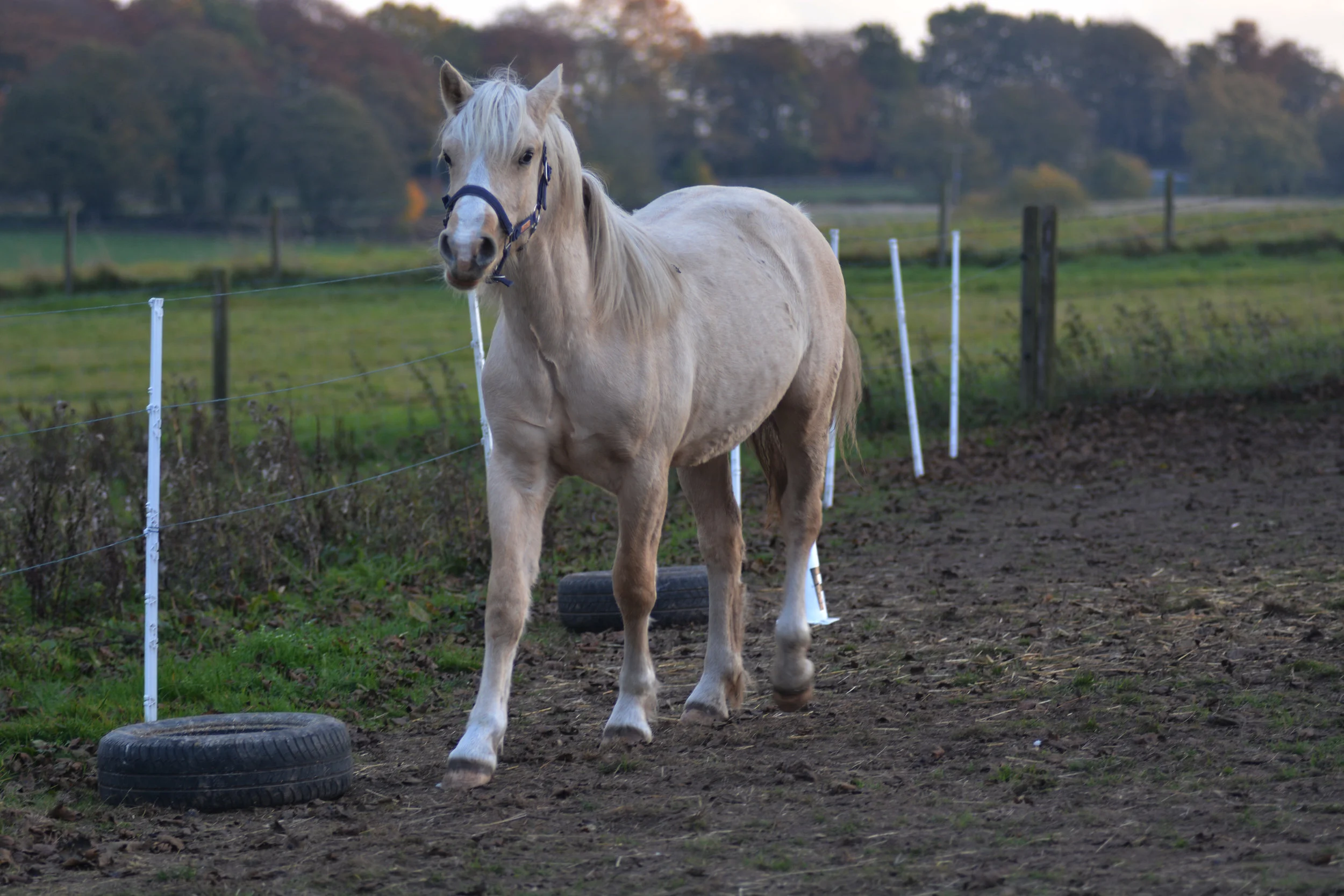 DSC_3114.jpg