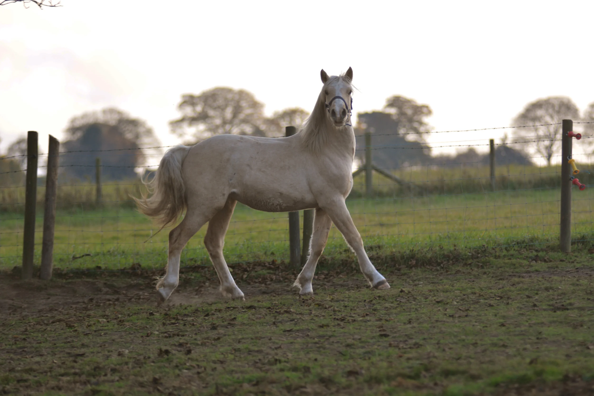 DSC_3125.jpg