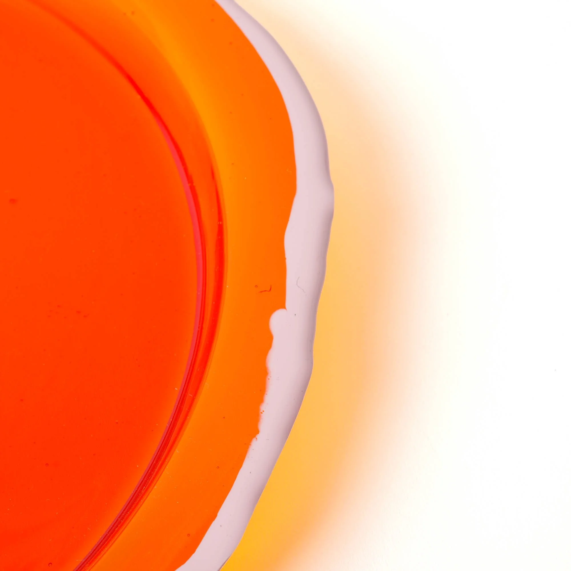 TryTray-Round-M-a-8.jpg
