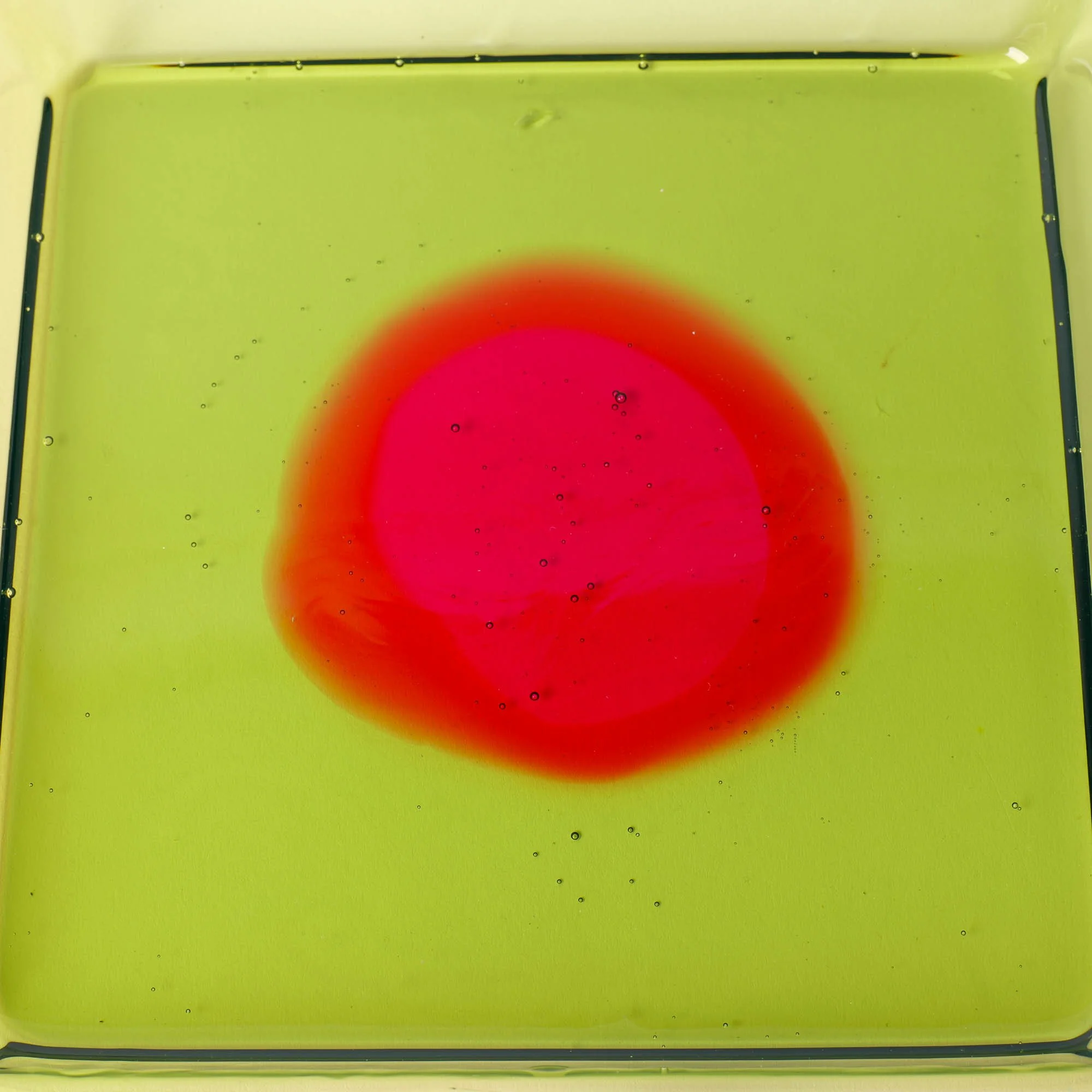 S-Tray-Square-9.jpg