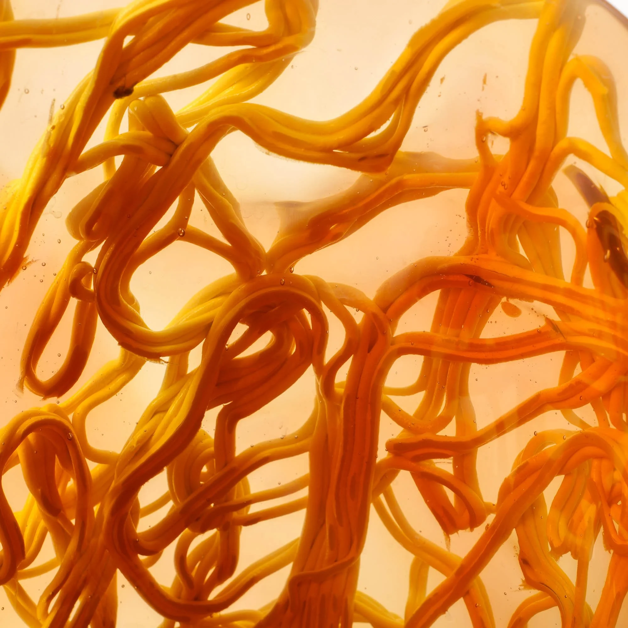 SpaghettiSpecial-L-Rinasc-6.jpg