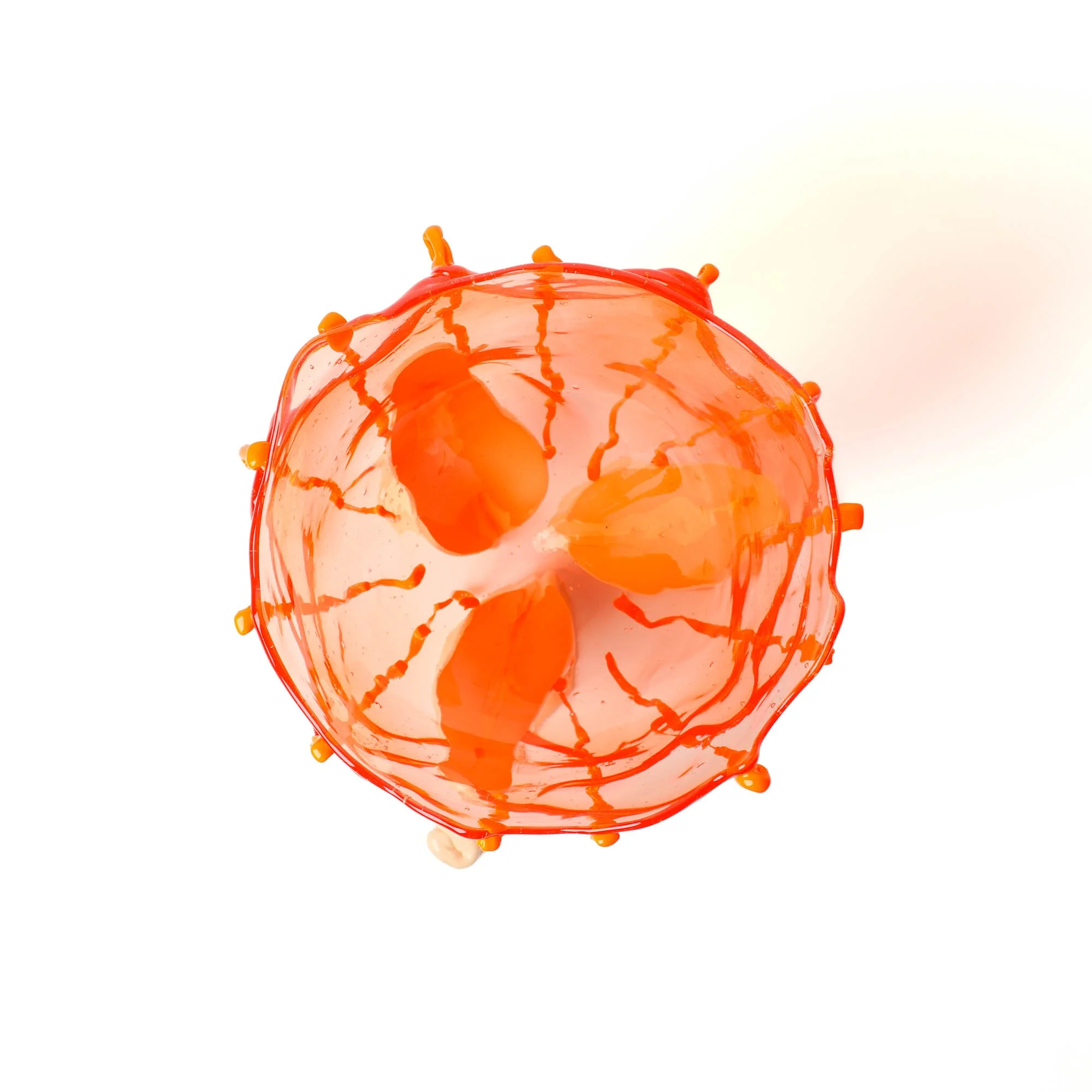 ClearSpecial-FDV-5511-2483-L-Low-4.jpg