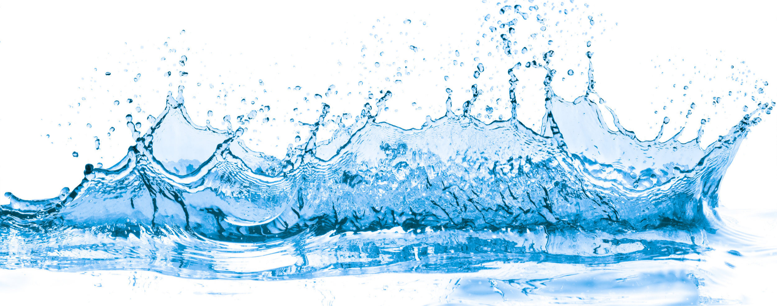 AdobeStock_67210159.jpg