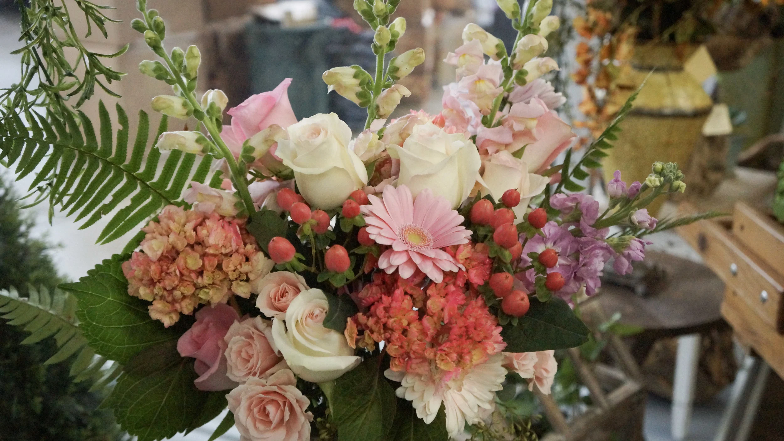 DSC09109.jpg