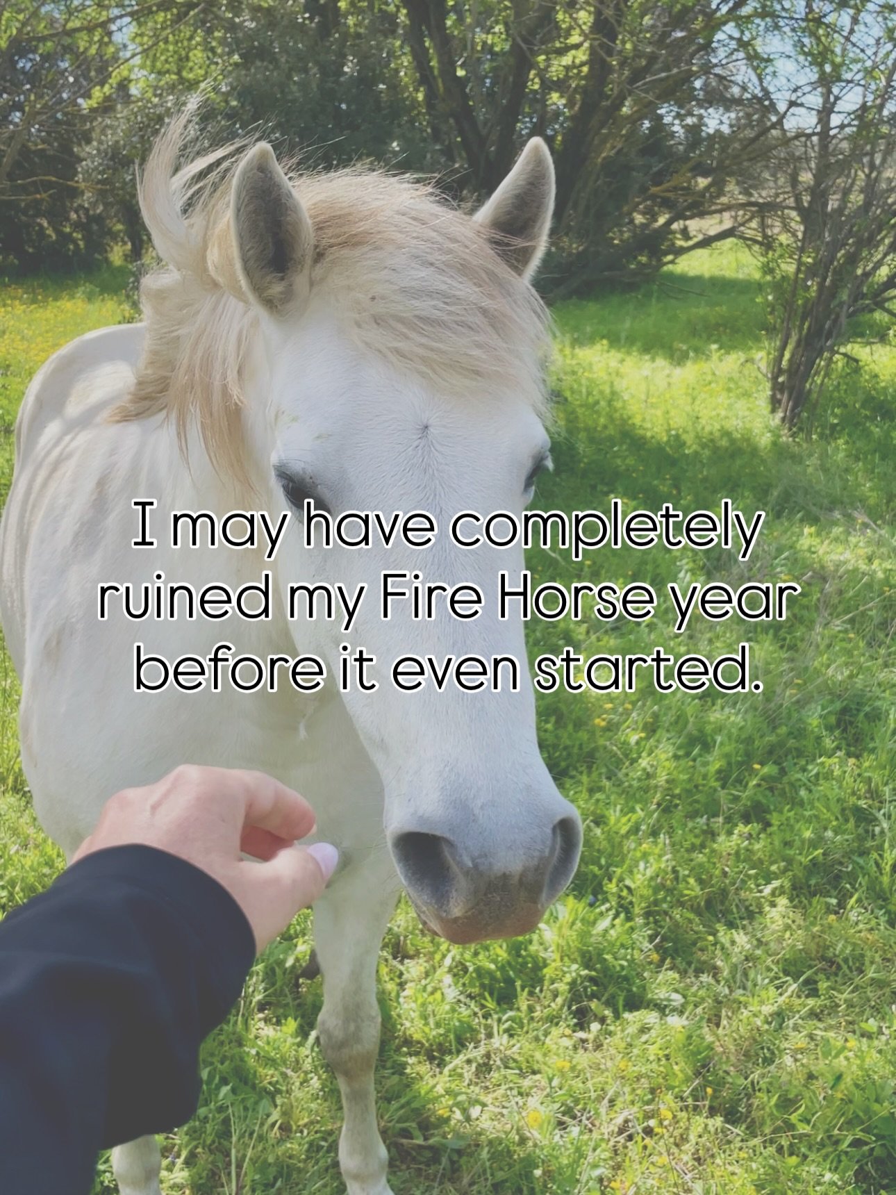 Or not :) 
If luck was that easy, we wouldn&rsquo;t need discipline, self-awareness, or uncomfortable conversations.

Celebrate the Fire Horse.
Good vibes are cute.
But your daily choices are what actually move your life
