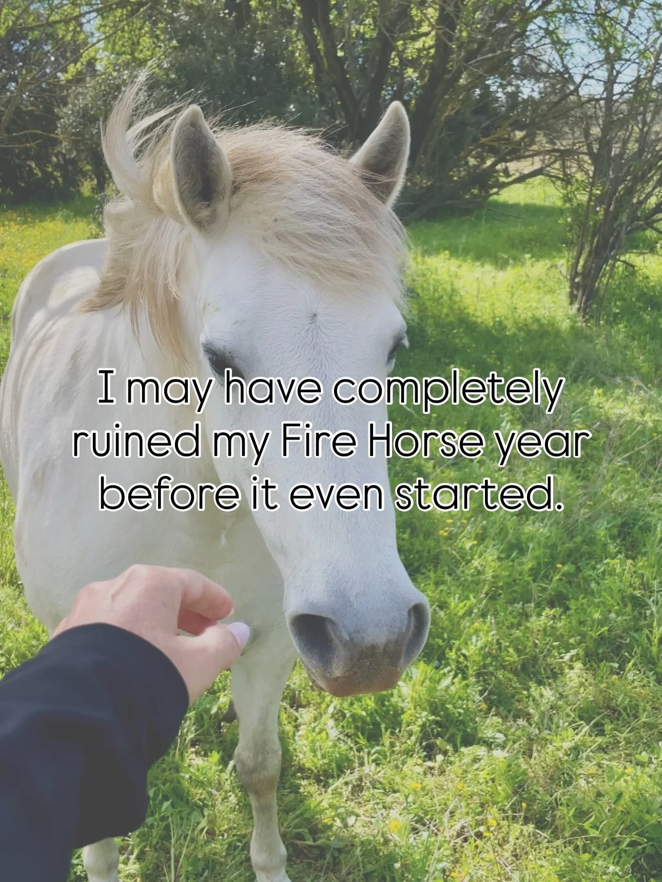 Or not :) 
If luck was that easy, we wouldn&rsquo;t need discipline, self-awareness, or uncomfortable conversations.

Celebrate the Fire Horse.
Good vibes are cute.
But your daily choices are what actually move your life