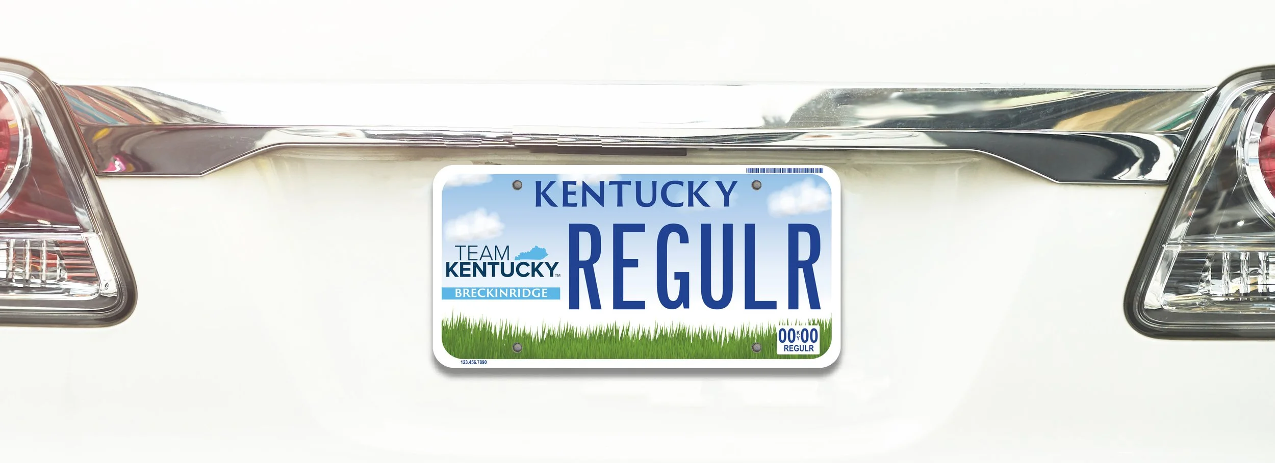 Team KY regular mockup2.jpg