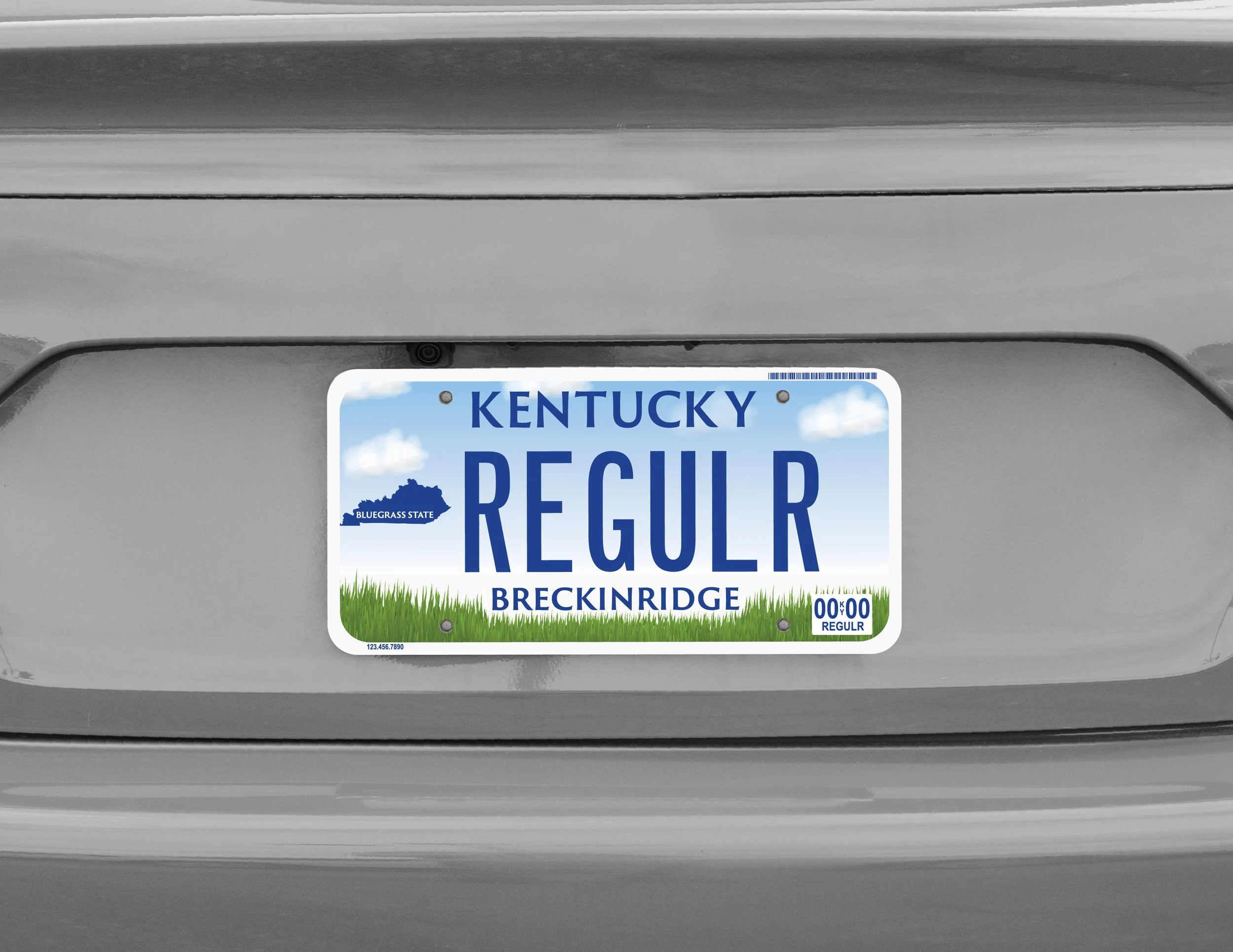 Bluegrass State Mockup.jpg
