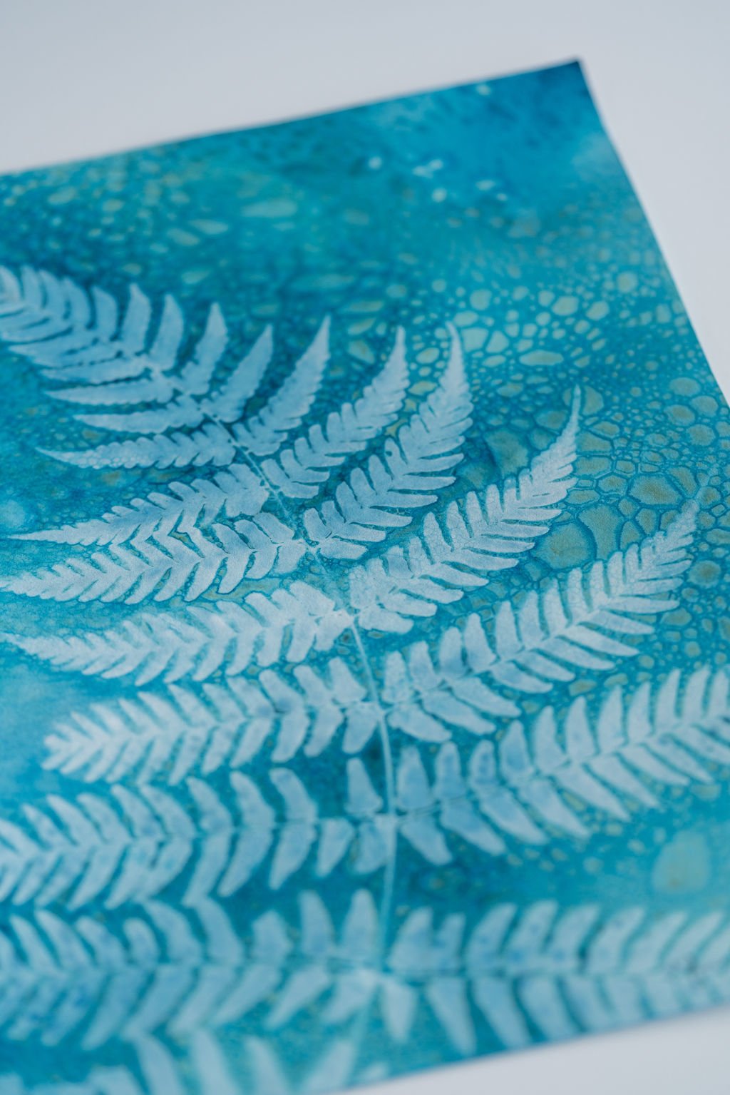 Wet Cyanotype Fern Original 9x12 1 Detail.jpg