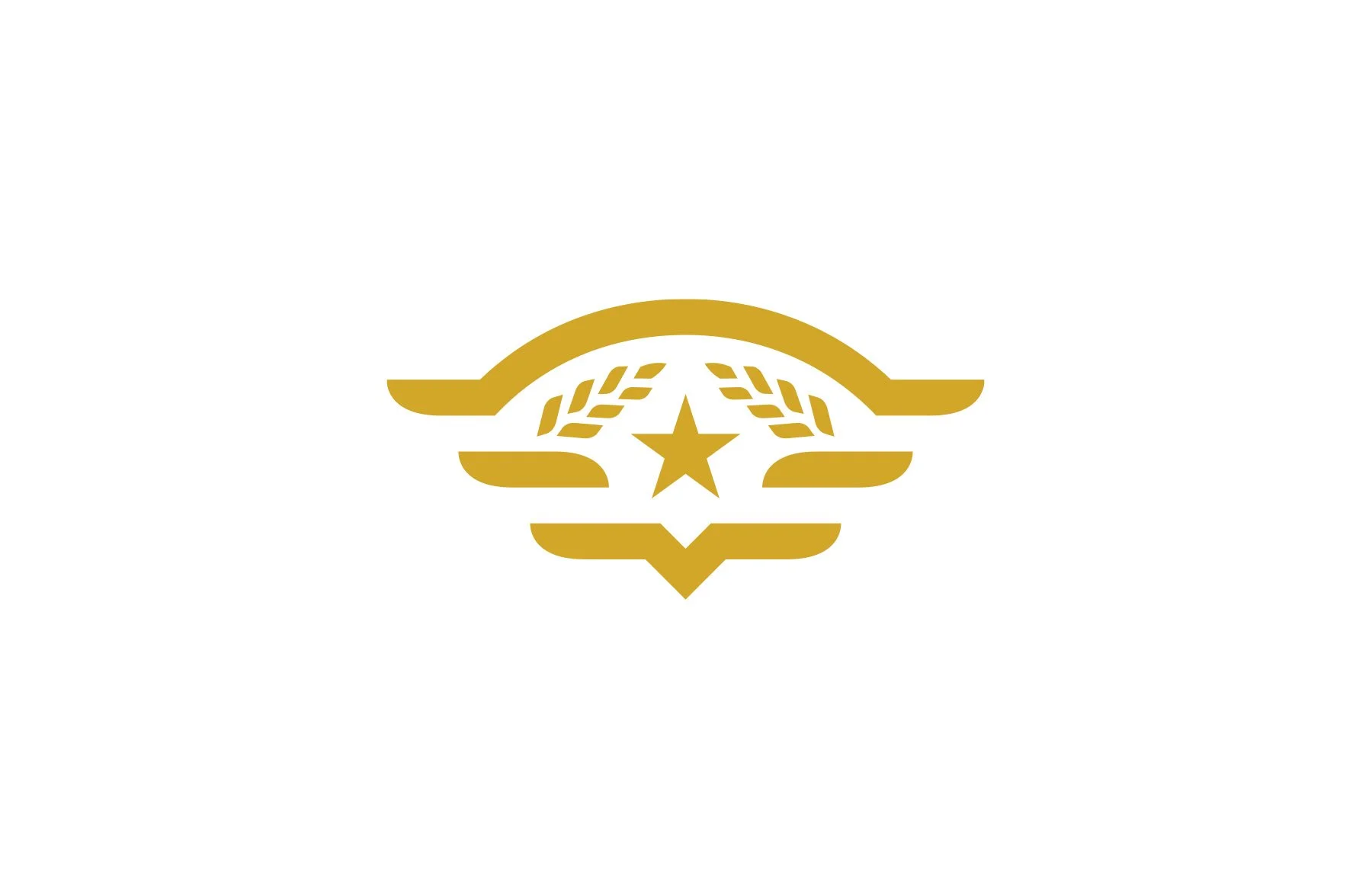 Hangar 24 Icon