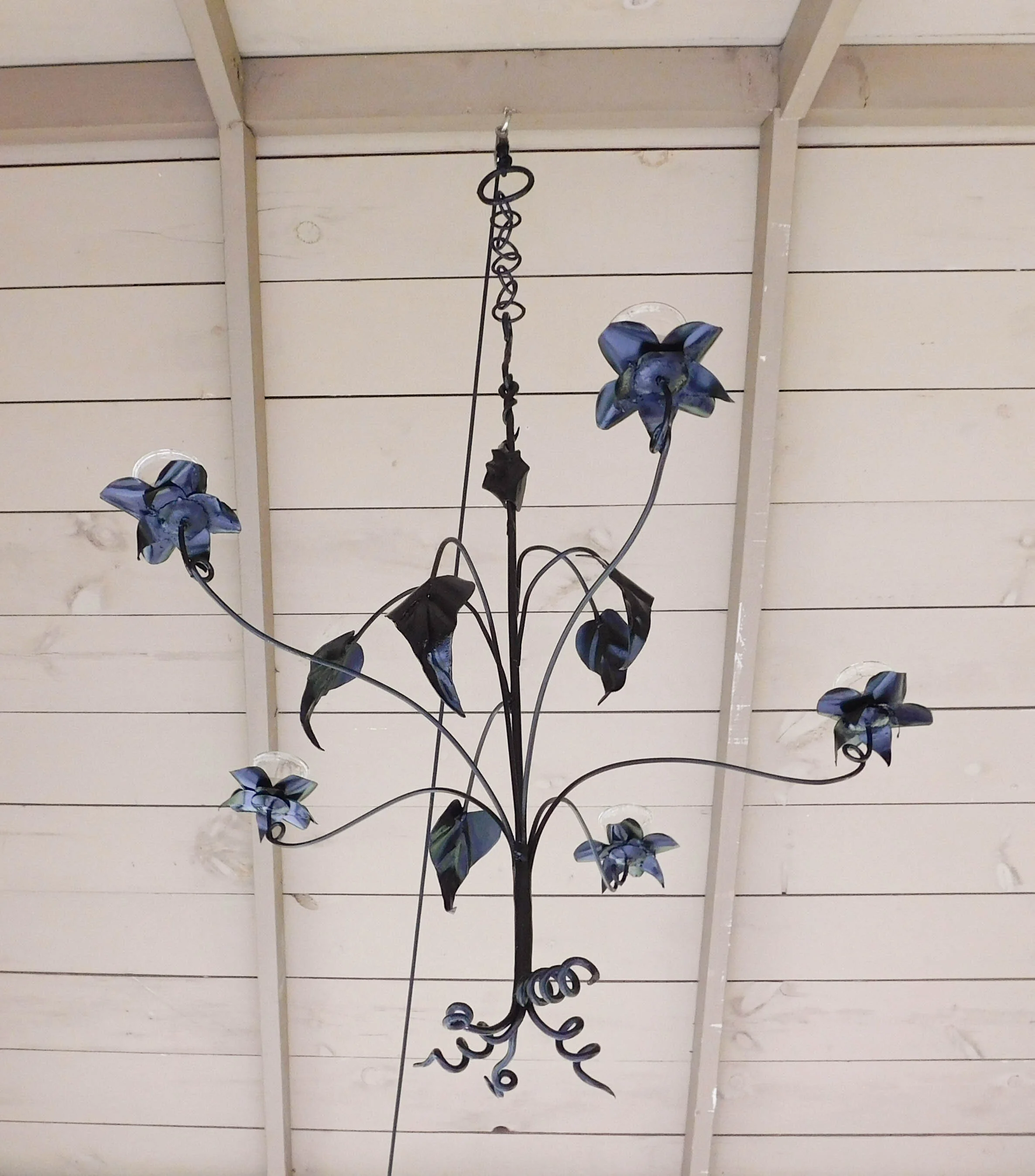 DSCN3525.jpg