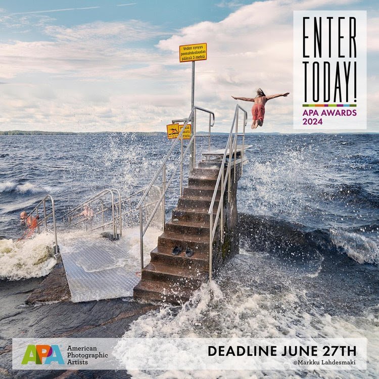 Annual APA Awards: Call for Entries