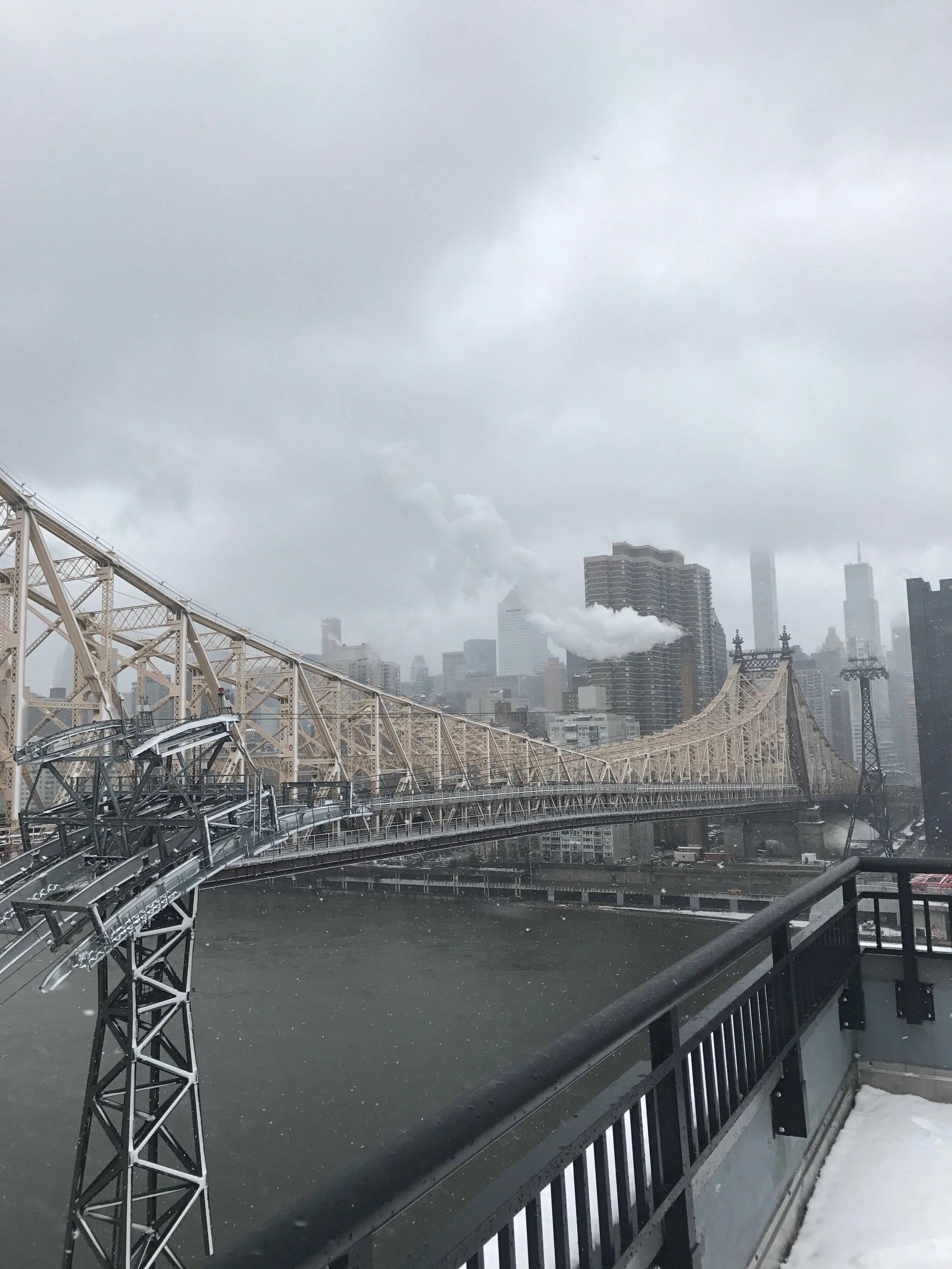 Snowy Manhattan