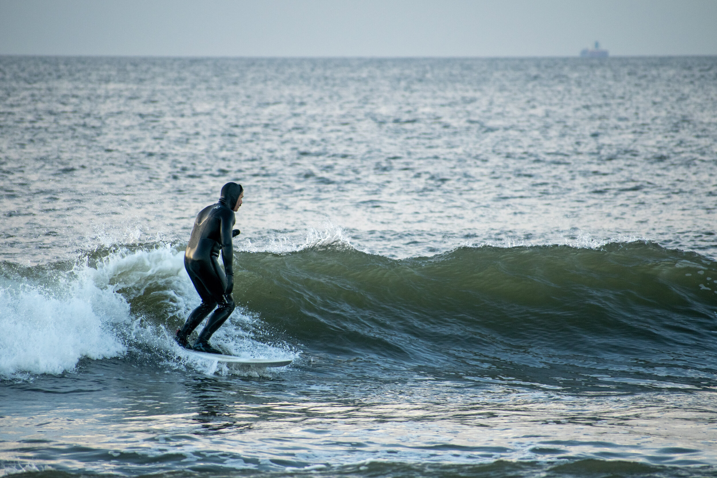 surfer 224.jpg