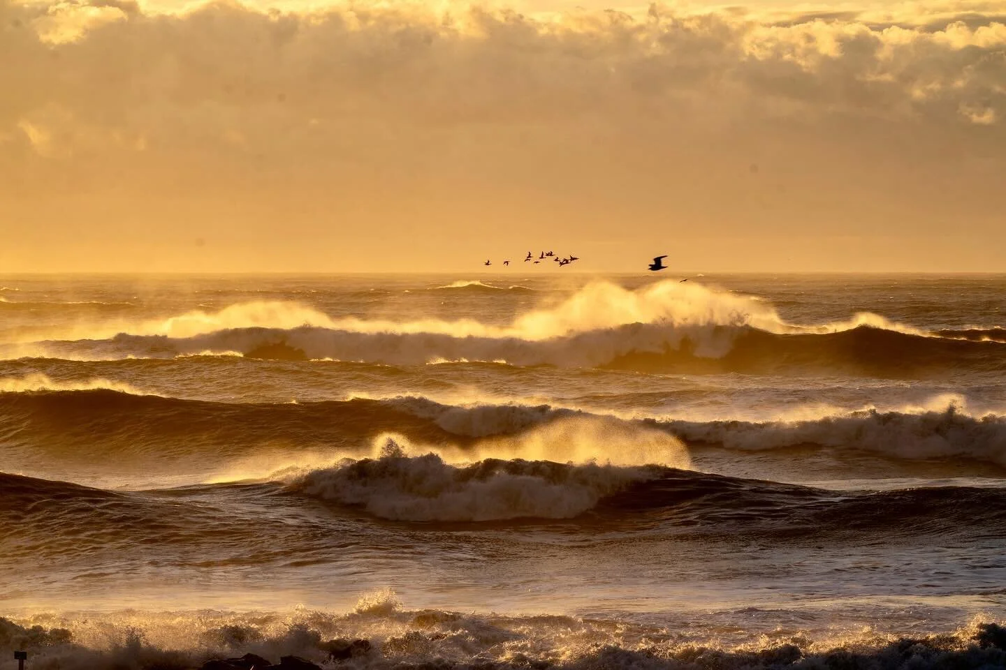 January has felt like a little bit of everything all at once. Is it just me? 
🌬️🌤️ 🌊🥶