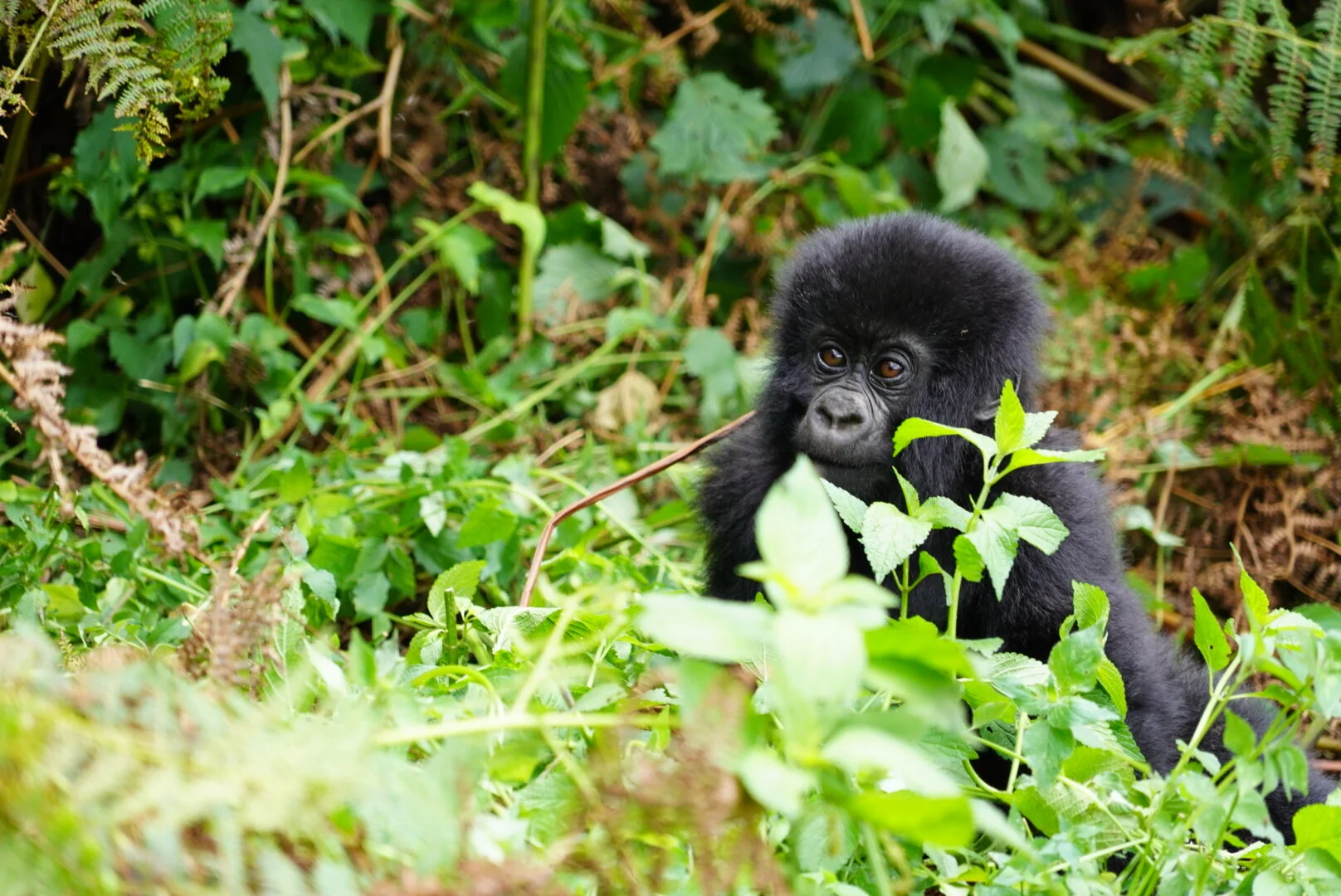 Photo Jan 28, 1 19 21 AM.jpg