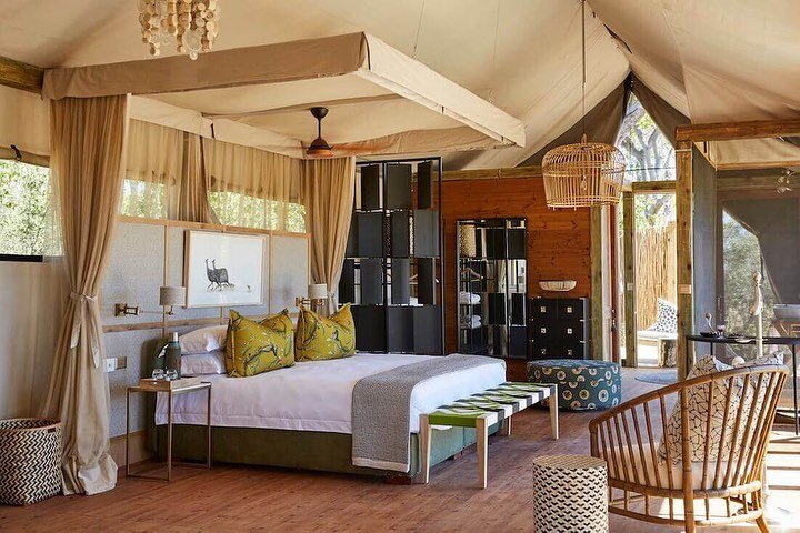 March was a busy month not only planning with clients, but also meeting with global suppliers! A favorite meeting was with @naturalselectiontravel, which is a collection of family-owned and operated camps in Botswana, Namibia and South Africa!
⠀⠀⠀⠀⠀⠀