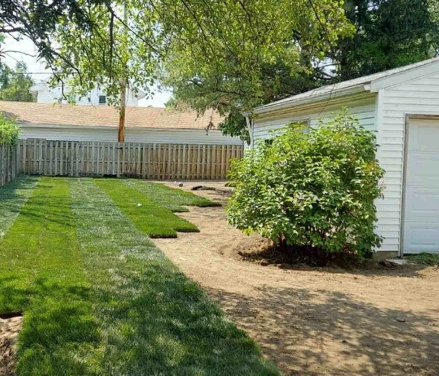 Benefits of Sod!!  New Lawn Installation Options!!