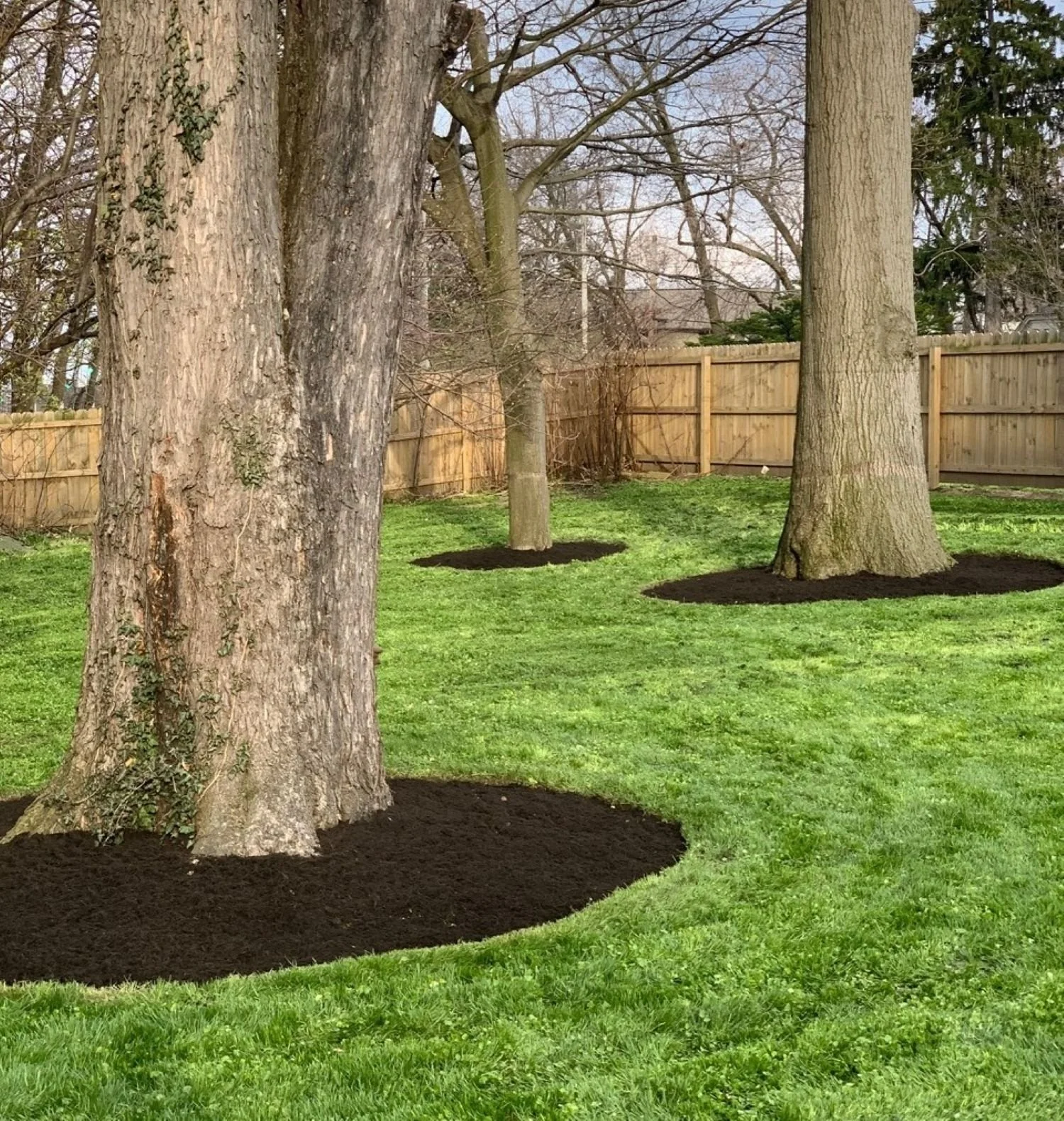 commercial_mulching_services_ohio.jpg