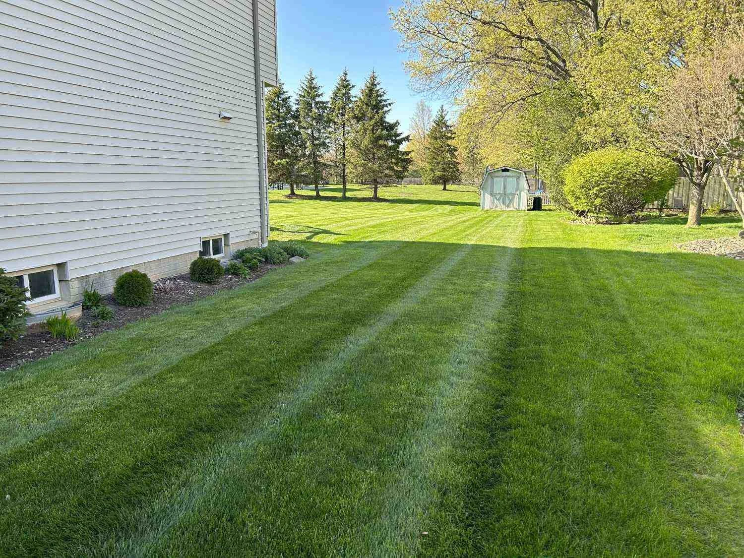 Why Is My Grass Turning Brown? A Northeast Ohio Homeowner's Guide to a Healthier Lawn