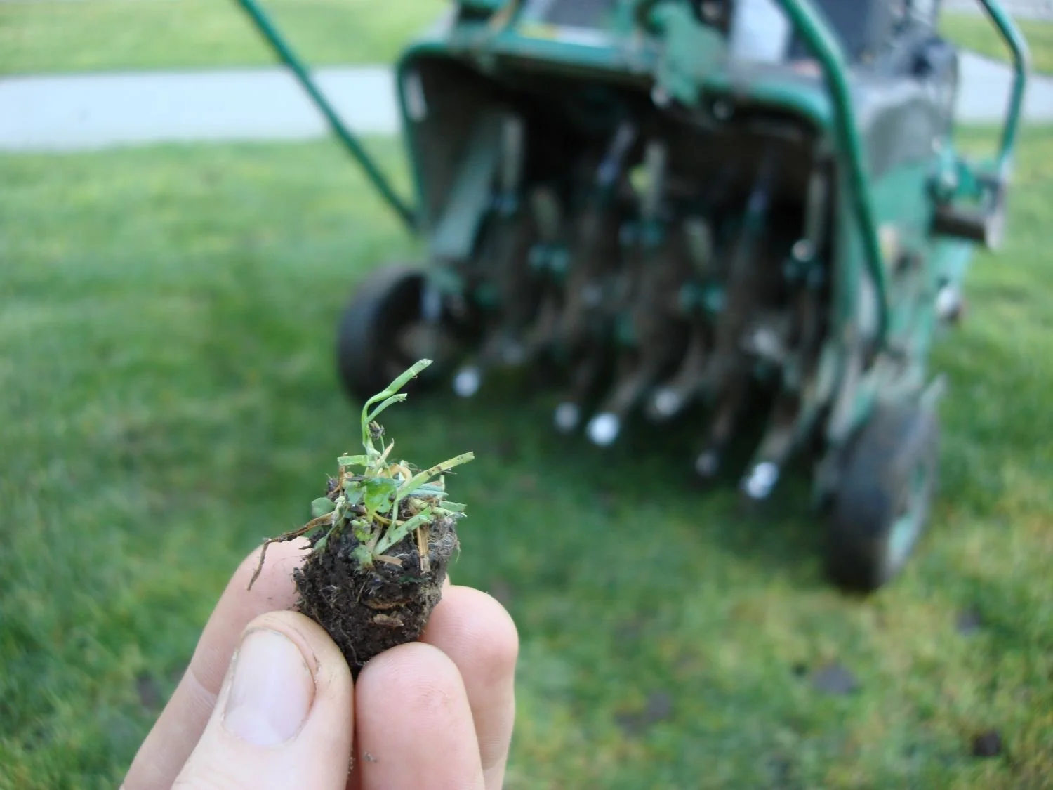 When Is the Best Time to Aerate and Overseed Your Lawn in Northeast Ohio?