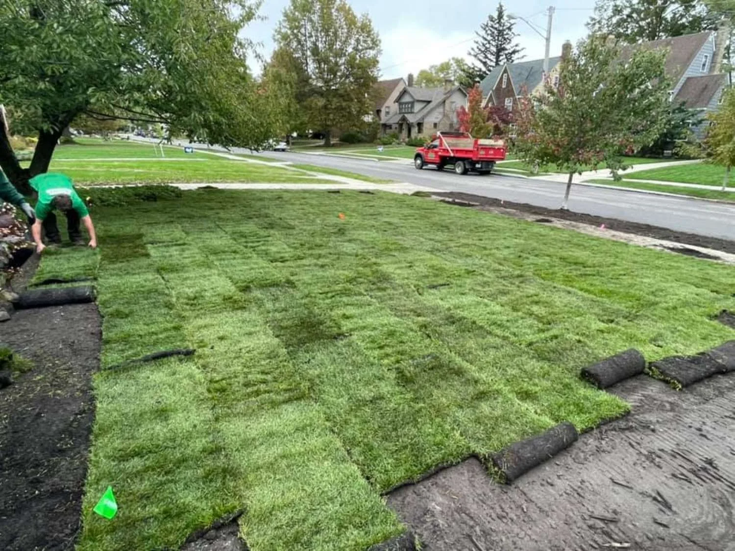 Forni_Landscaping_Installing_Sod