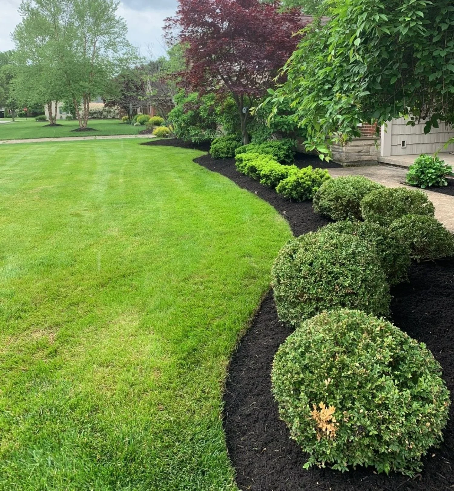 Commercial_landscape_bed_maintenance