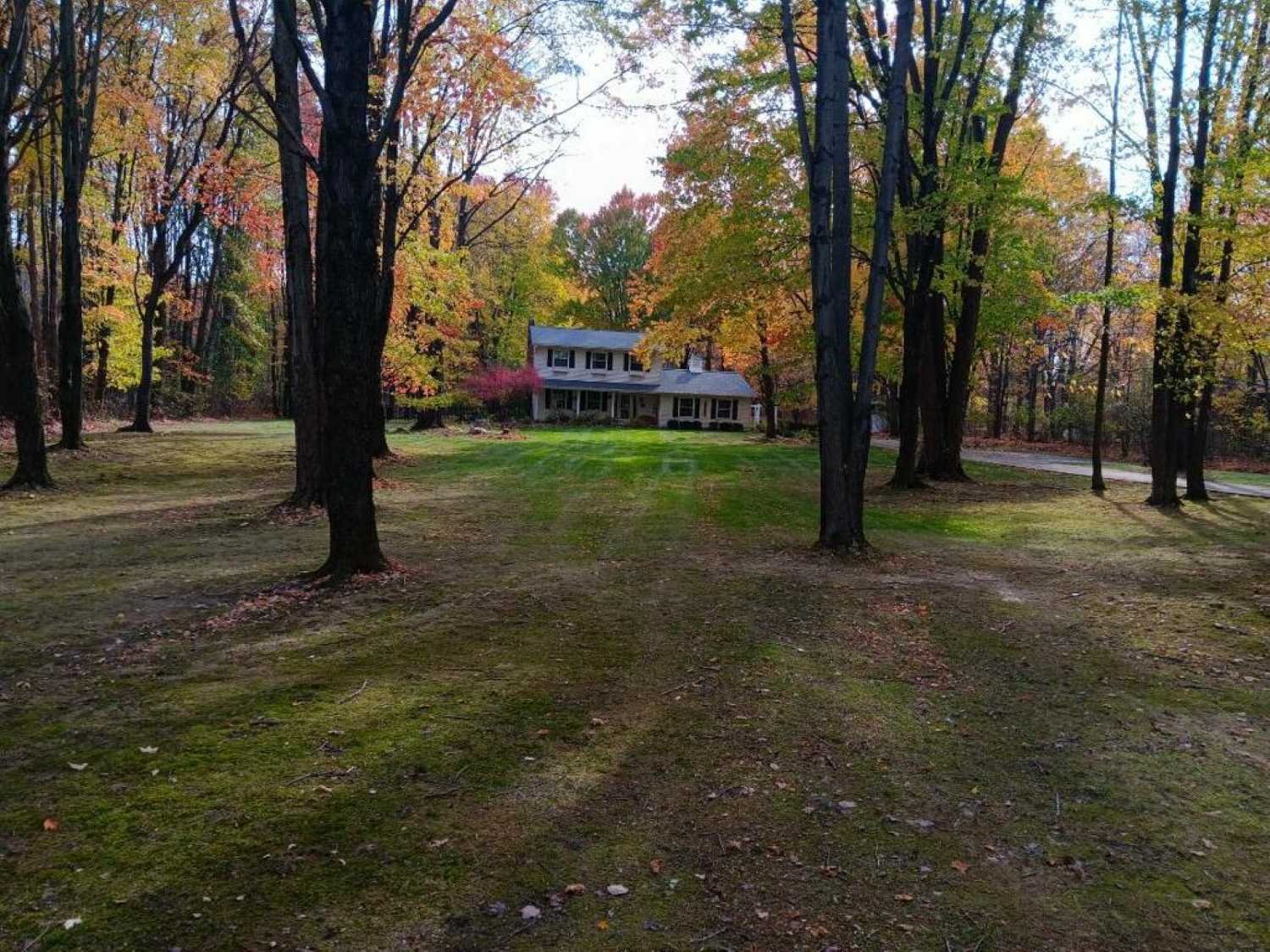 fall-cleanup-large-wooded-yard-ohio