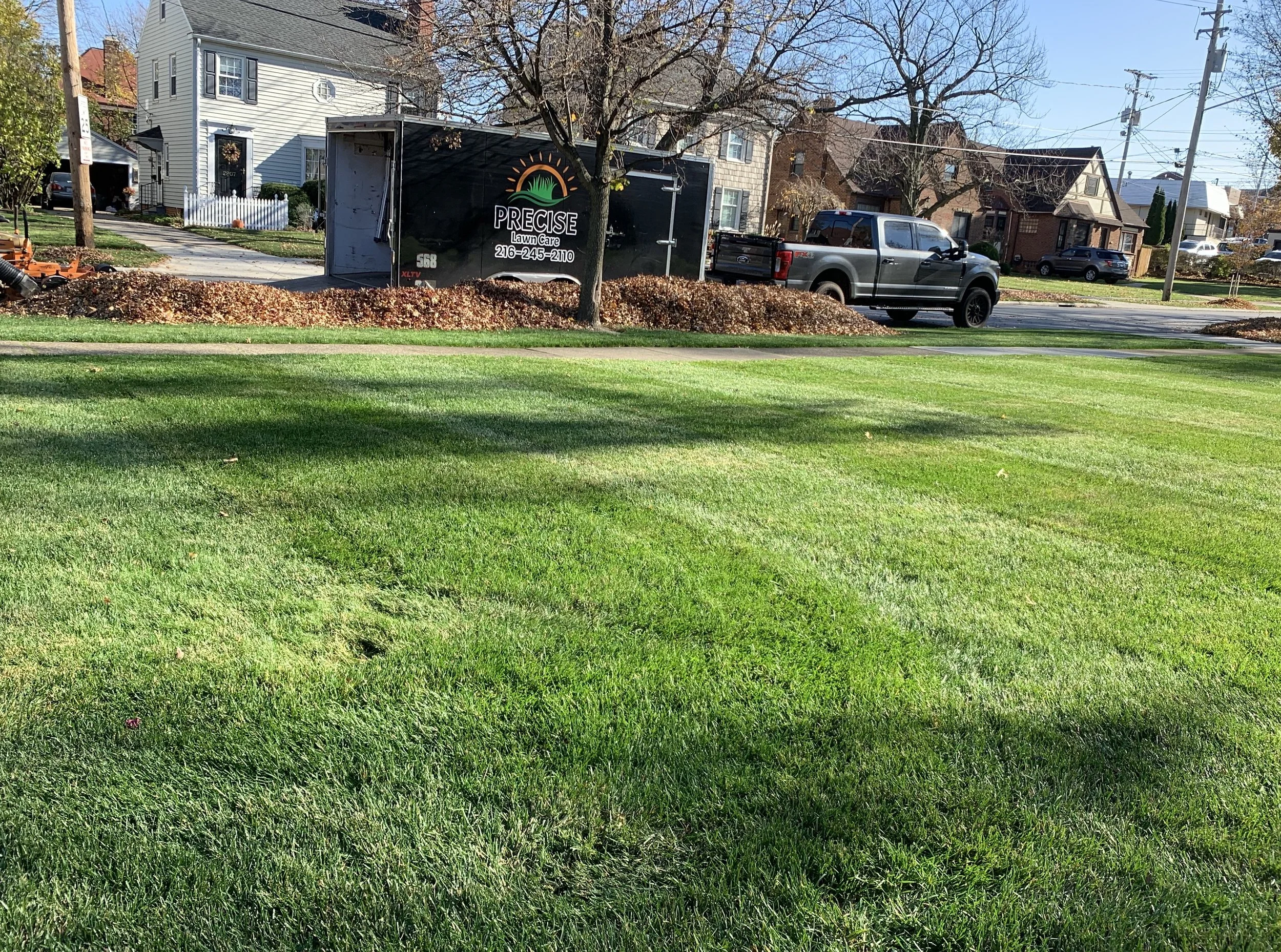 leaf-removal-services-northeast-ohio