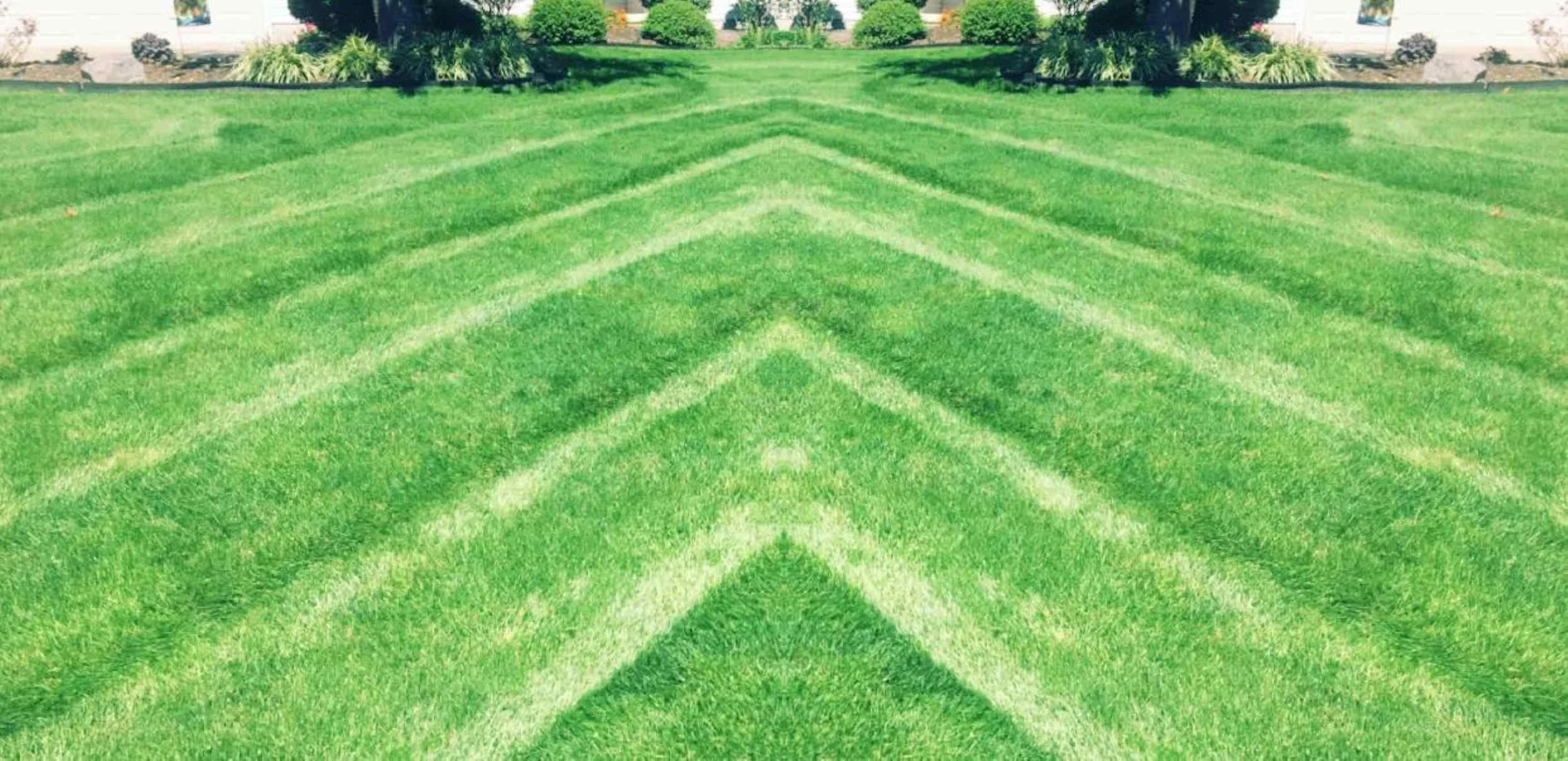 Commercial_lawn_care_professional_services