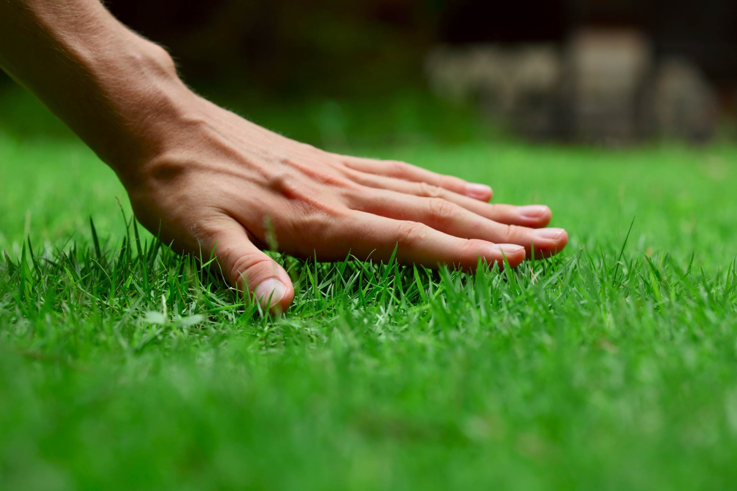 lawn_care_and_property_managment_services