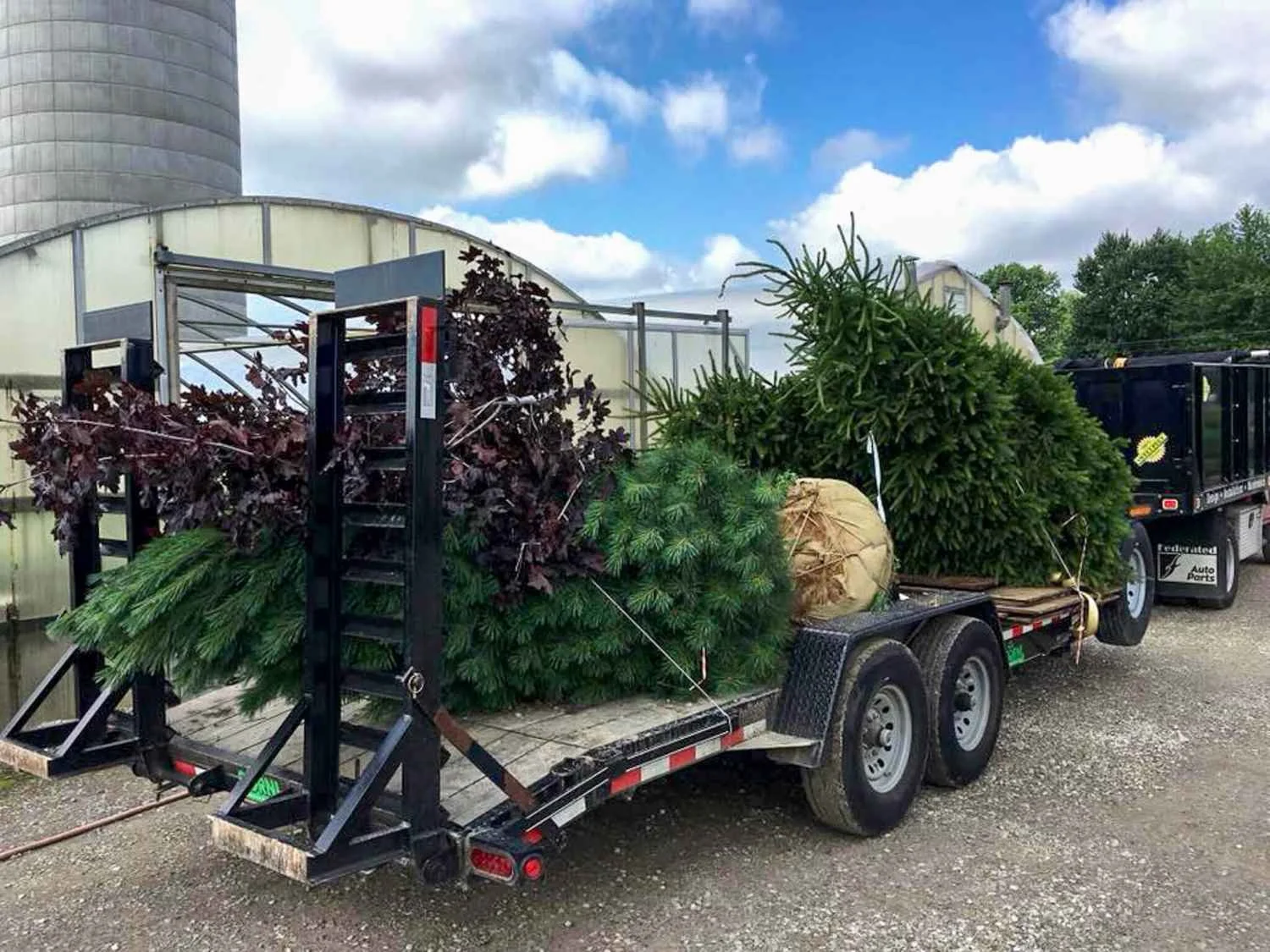 Tree_removal_and_installation_in_Ohio