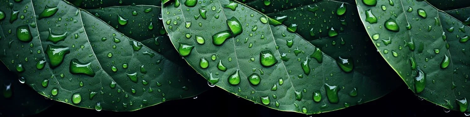 modern_ecofriendly_and_popular_garden_designs