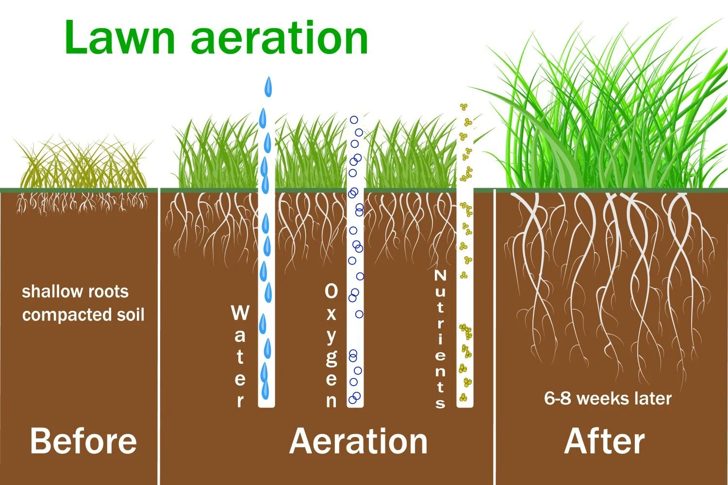 Aeration_benefits_graphic_precise_lawn_Care