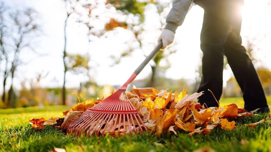 Seasonal_Cleanups_for_commercial_properties