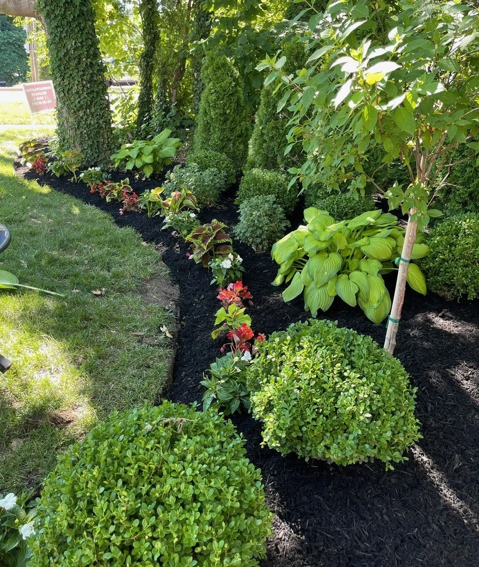 flower_beds_and_mulch_installation_services