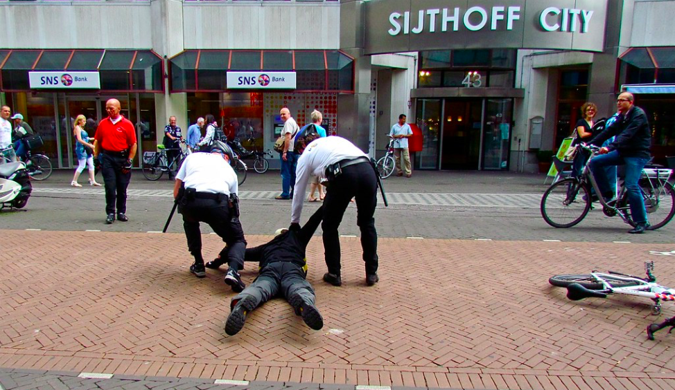 The Dutch House of Representatives quietly approved an amendment, offering lower penalties for officers who commit police violence&nbsp;