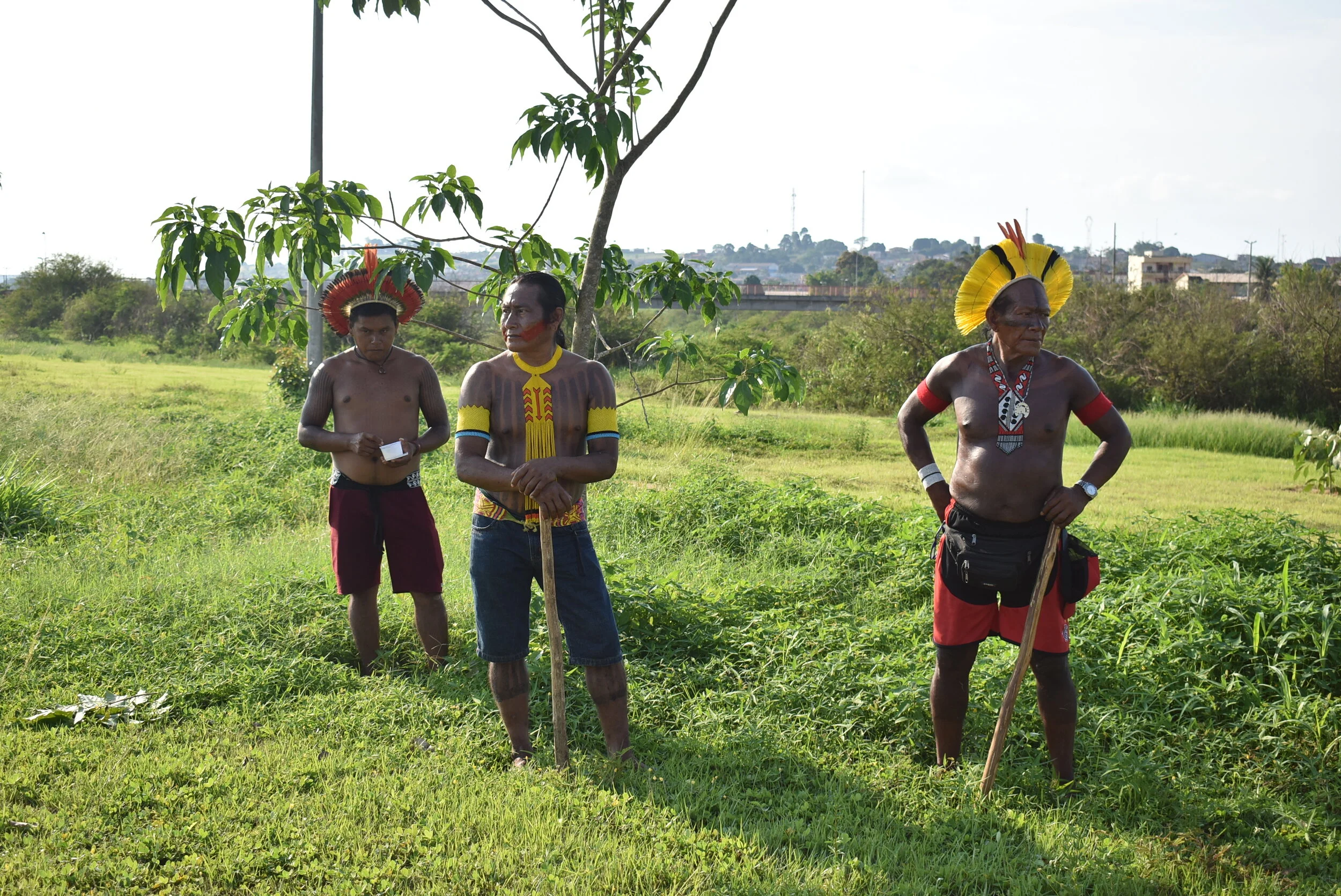 Hoe COVID-19 de Amazone en haar inheemse bewoners bedreigt