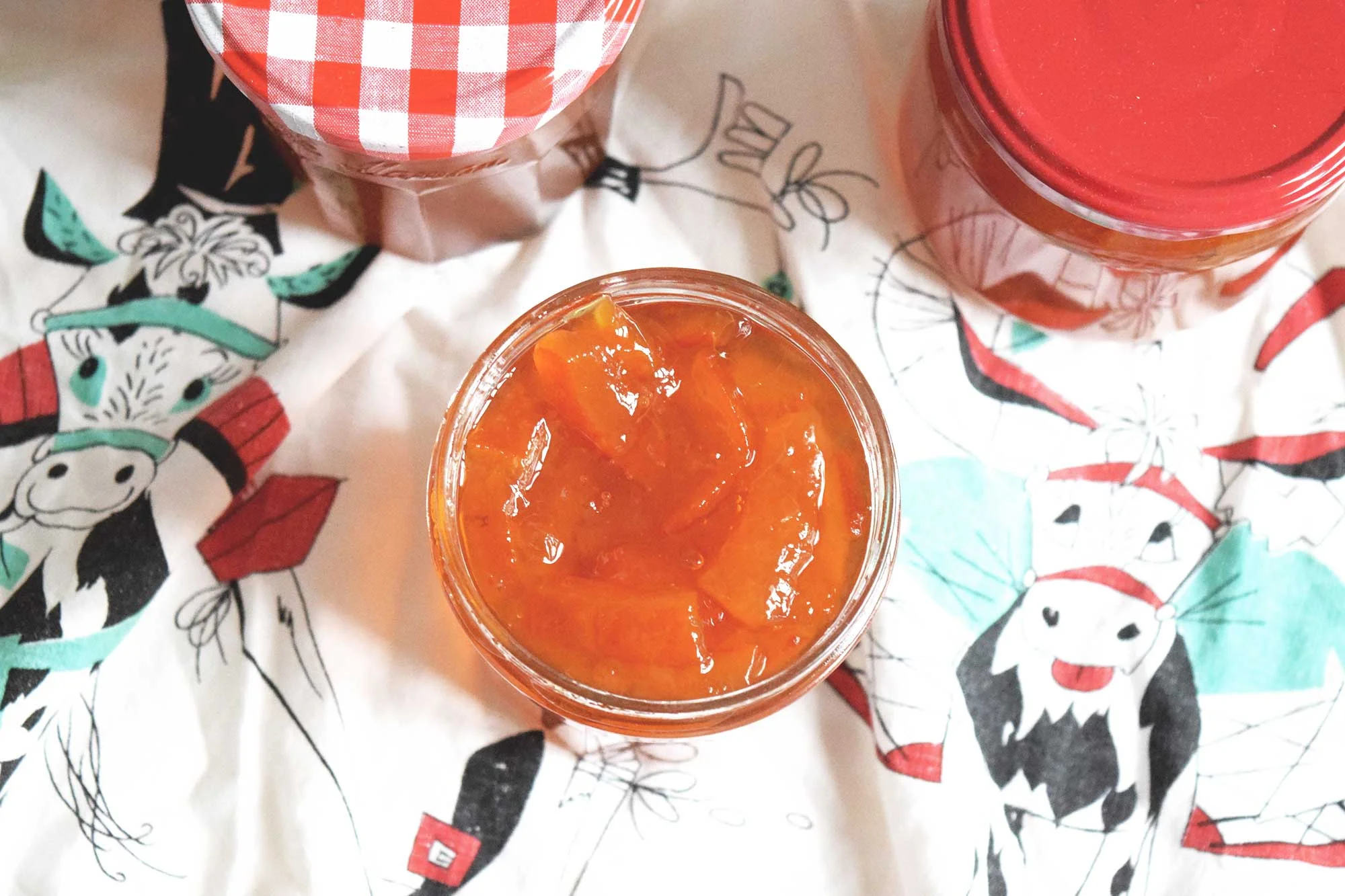 Bitter-orange-marmalade-recipe.jpg