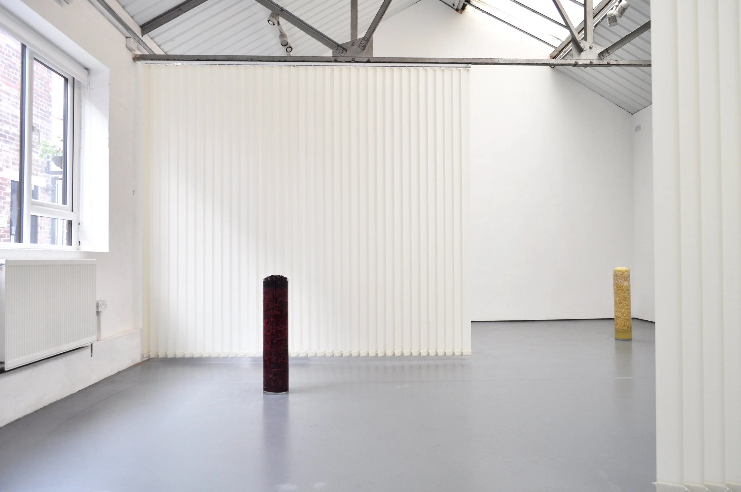 Curatorial Statement January 2018