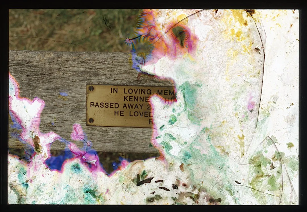 Harsh Light: A Particular Reality, Part 2 - Francesca Telling &amp; Rehana Zaman