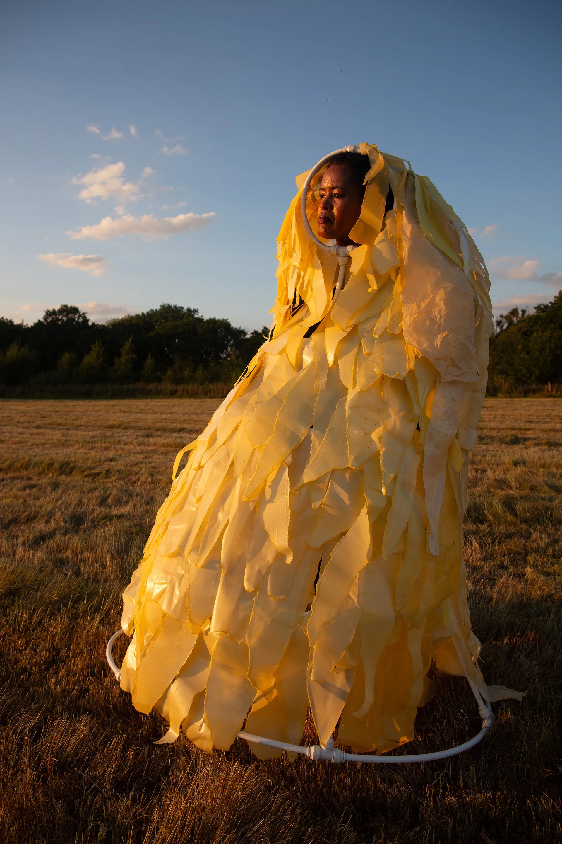 AqalHijab.jpg reduced.jpg